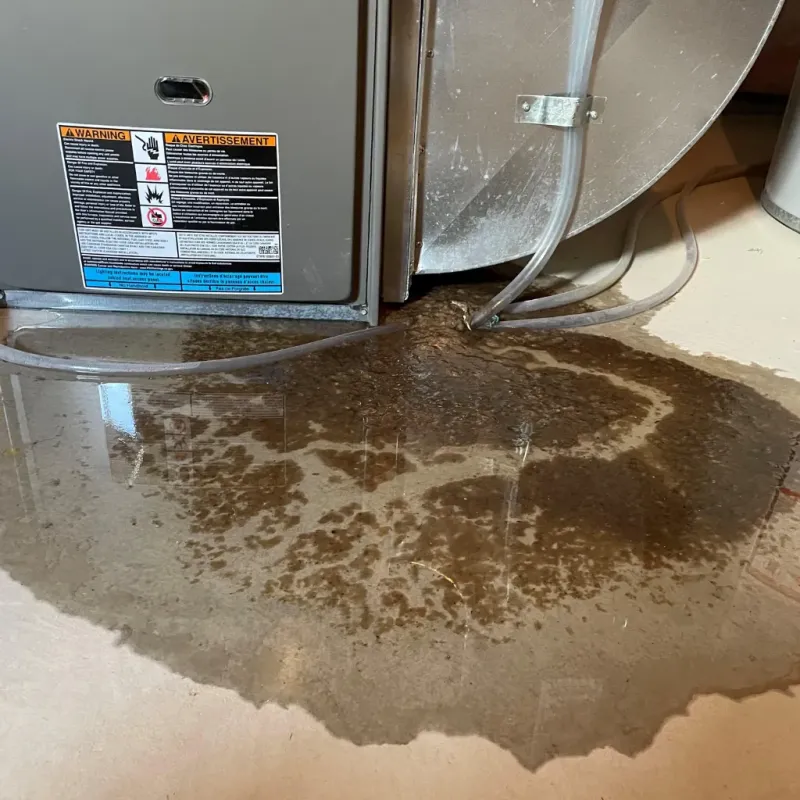 Appliance Leak Cleanup in Shelley, ID